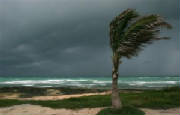 Tropical Storm Bonnie